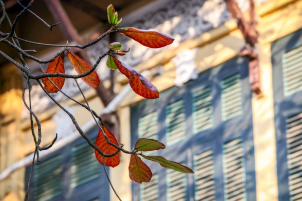 Nơi cuối cùng của&nbsp;gió