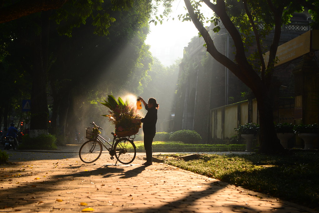 Nắng thu
